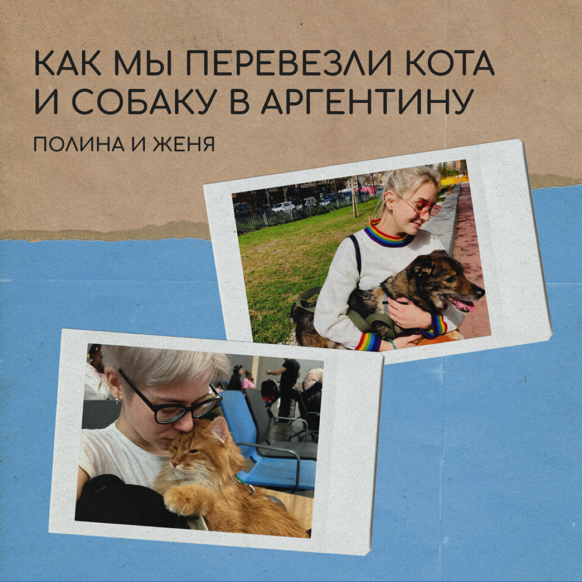 Привет! Мы Полина и Женя. В августе 2023 года мы переехали из Петербурга в Буэнос-Айрес с котом и собакой.
За билеты питомцам заплатили 110 000 ₽ | Сетка — социальная сеть от hh.ru