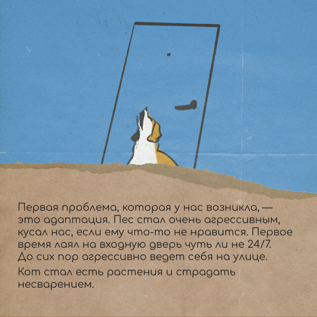 Привет! Мы Полина и Женя. В августе 2023 года мы переехали из Петербурга в Буэнос-Айрес с котом и собакой.
За билеты питомцам заплатили 110 000 ₽ | Сетка — социальная сеть от hh.ru