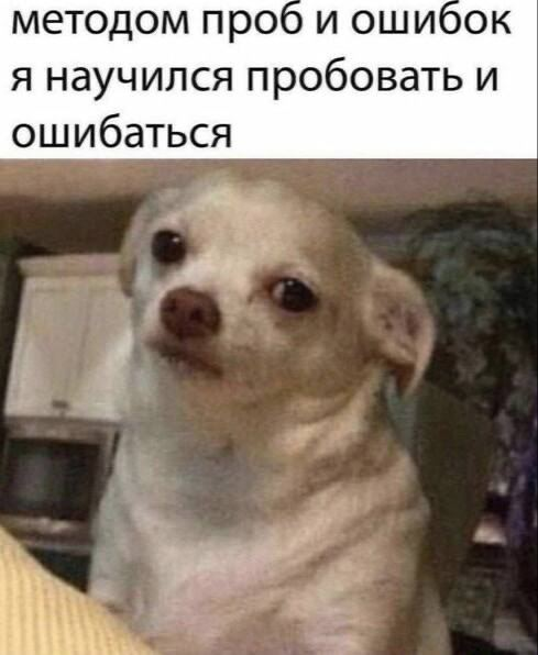 Жизненно ведь? | Сетка — социальная сеть от hh.ru
