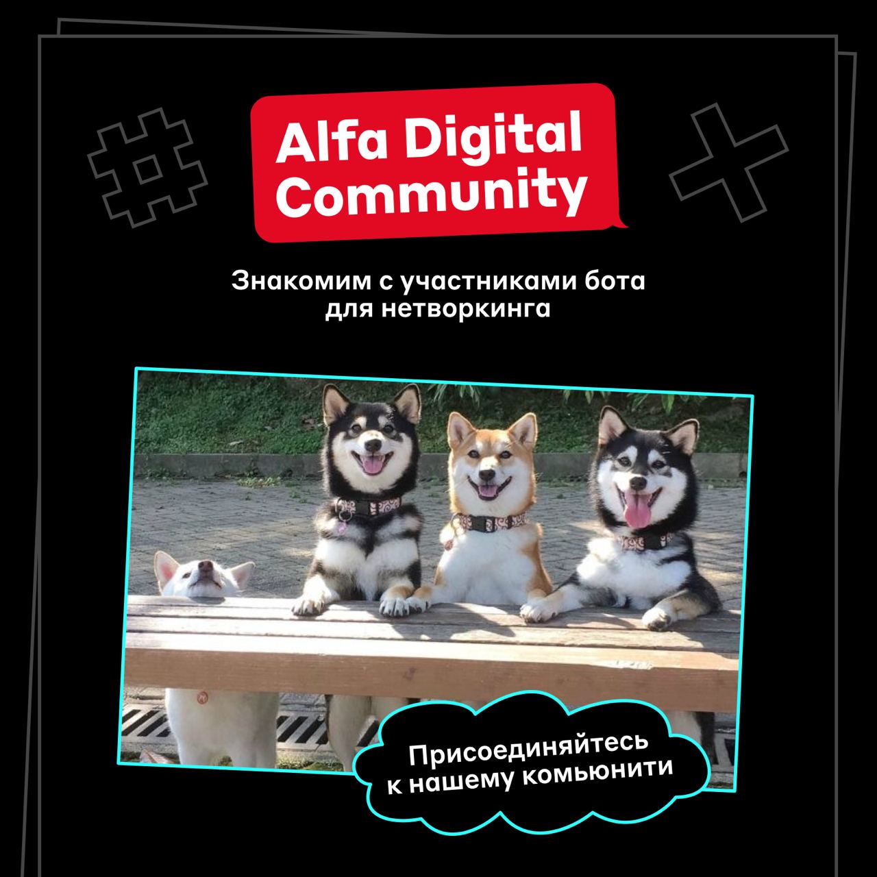Это Alfa Digital Community 😎
Мы запустили бот, в котором можно находить единомышленников, обмениваться опытом, обсуждать путешествия, котиков и мемы про работу | Сетка — социальная сеть от hh.ru