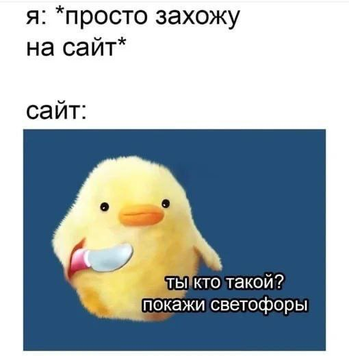 Страшно, очень страшно🥹😁 | Сетка — социальная сеть от hh.ru