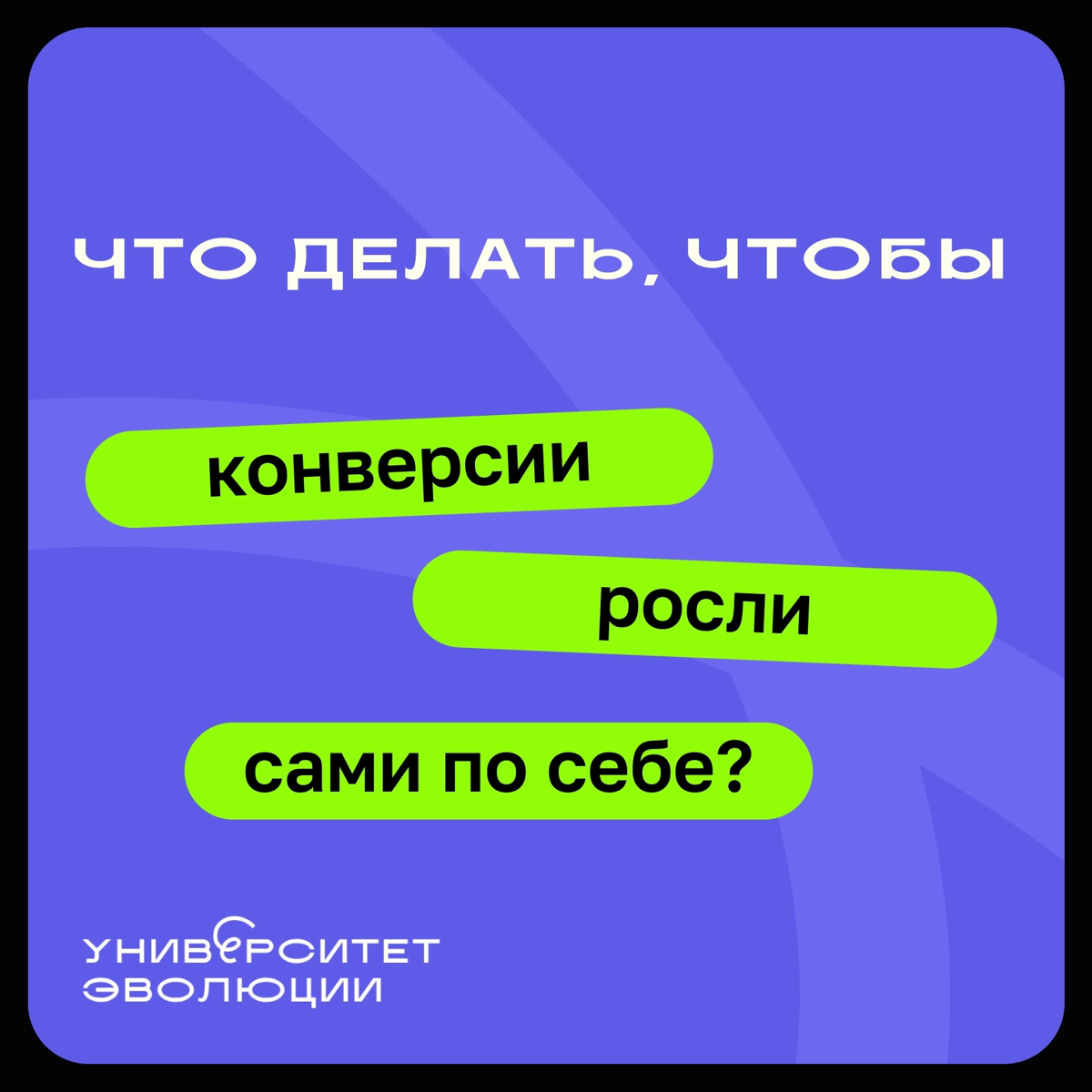 Что делать, чтобы конверсии росли сами по себе | Сетка — социальная сеть от hh.ru