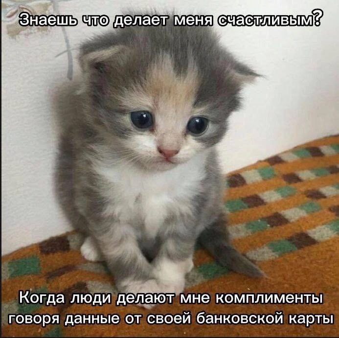 Сетка — социальная сеть от hh.ru