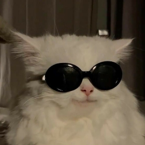 Владимир Казанцев