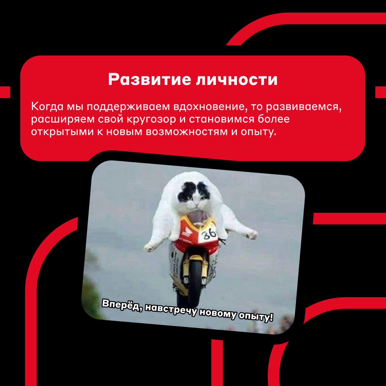Поймали вдохновение 💫
И в марте запустили мини-курс от Альфа-Академии, где рассказали, что такое нейросети и как с ними работать. Оставляем ссылку для тех, кто мог его пропустить | Сетка — социальная сеть от hh.ru