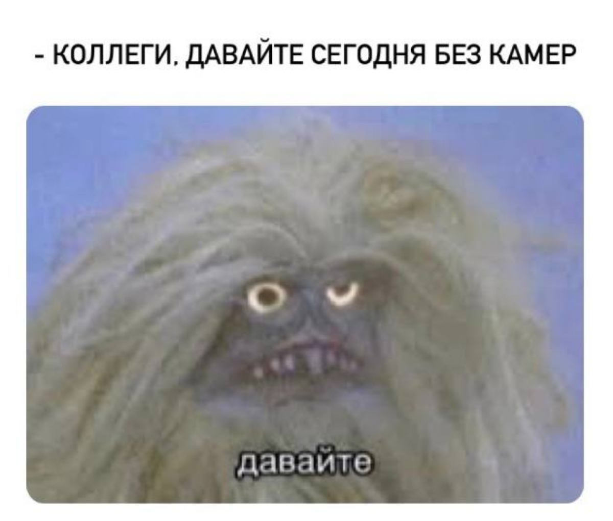 Мудрое решение.
П.С. А вы в какой команде? Если созвон, то с 📷 или комфортнее без? | Сетка — социальная сеть от hh.ru