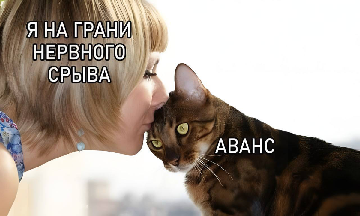 #чтобычто
передаем привет всем финансово образованным | Сетка — социальная сеть от hh.ru