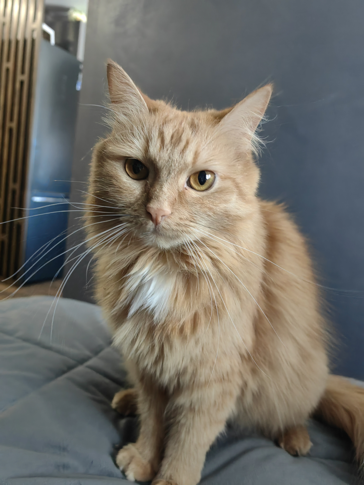 Привет, друзья! Сегодня хочу поделиться одной важной темой с которой сталкивается любой системный аналитик — требования к ПО | Сетка — социальная сеть от hh.ru