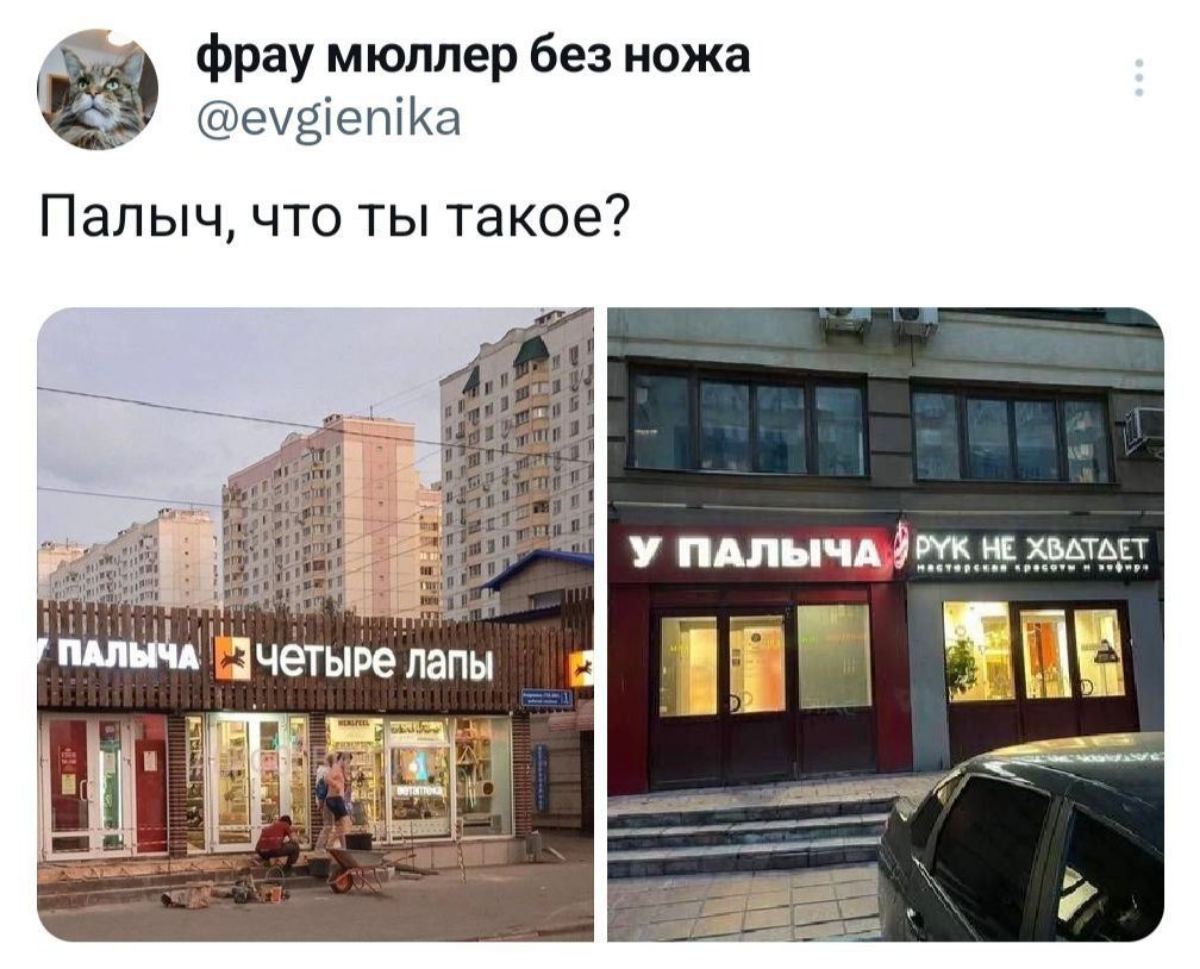Просто Палыч - идеальный разраб. | Сетка — социальная сеть от hh.ru
