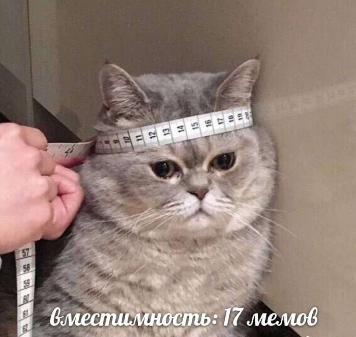 Оставим стакан на половину полным | Сетка — социальная сеть от hh.ru