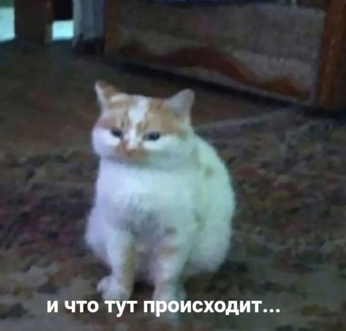 Когда сделал MR в начале недели, вспоминаешь про него в пятницу и видишь 20 комментариев, упавшее CI и конфликты | Сетка — социальная сеть от hh.ru