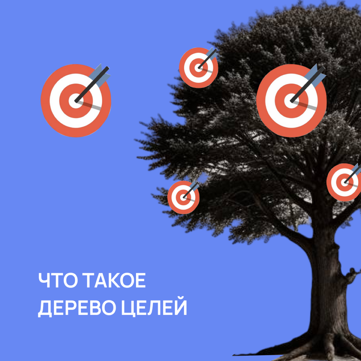 Жил бы желудь. Он был полон амбиций вырасти в большой дуб. И начал расти. Сначала стал маленьким дубочком. Потом укрепил корни и потянулся к небу | Сетка — социальная сеть от hh.ru