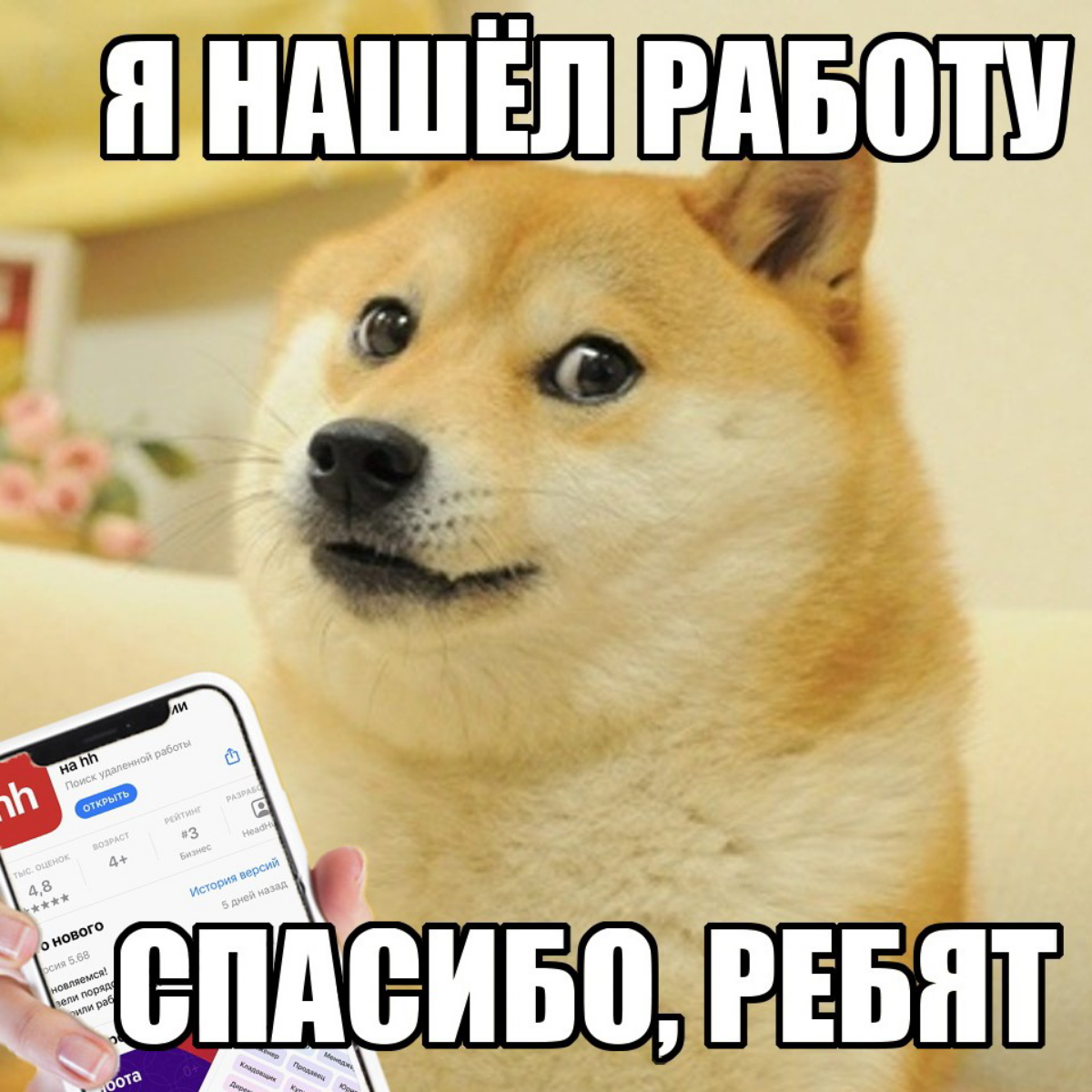 Даниил Савчук | Сетка — социальная сеть от hh.ru