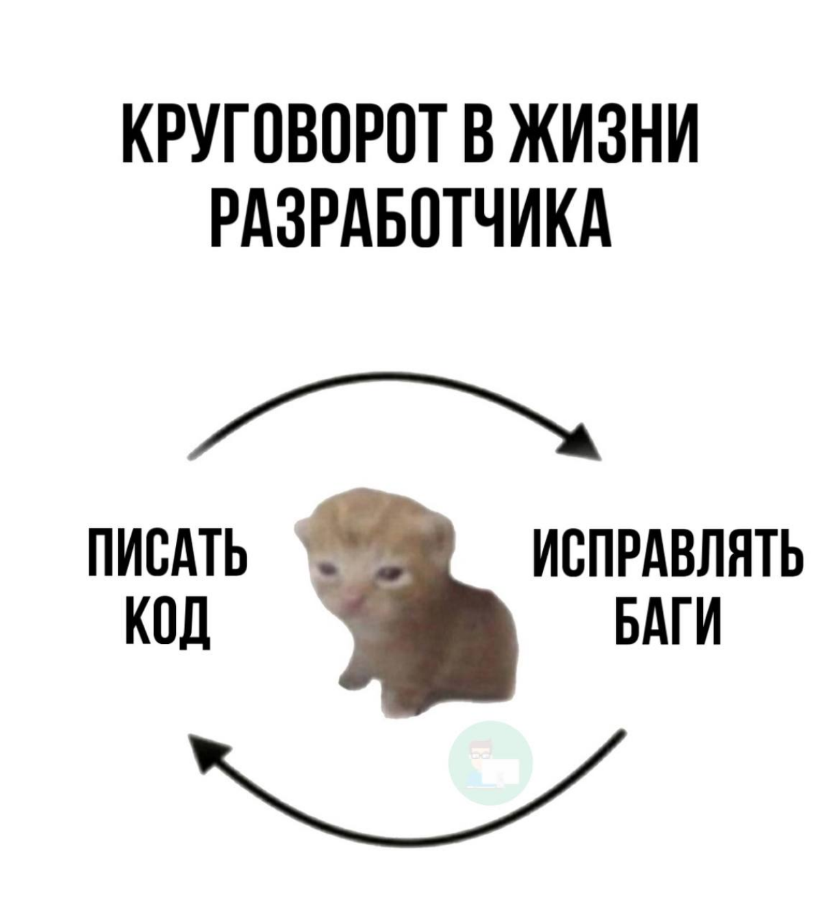 Давайте знакомиться! | Сетка — социальная сеть от hh.ru