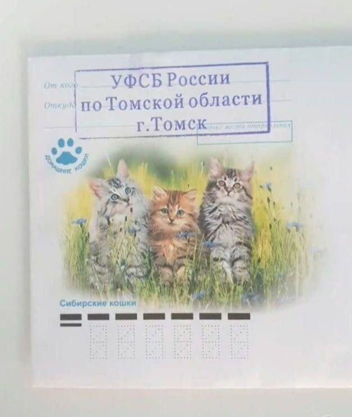 Побывал тут на beerphp вчера. Ну что могу сказать, прикольно. Пива я не пил конечно, потому что пьют пиво и пишут на пхп только скуфы | Сетка — социальная сеть от hh.ru