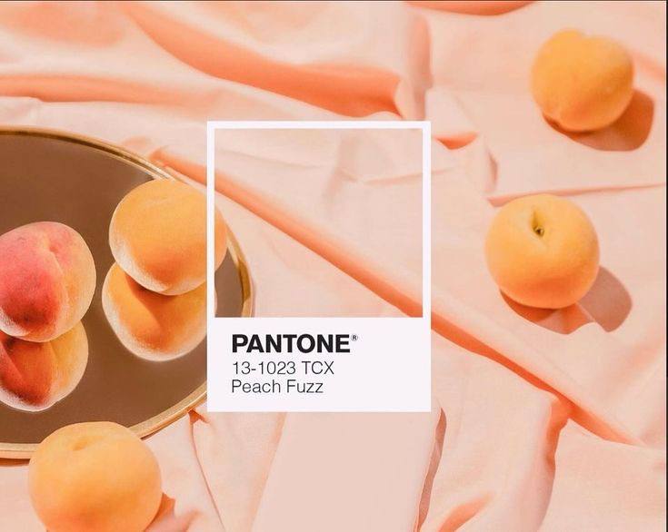 Peach Fuzz (персиковый пушок)— главный цвет 2024 года по версии Pantone.🍑🪽🧺
Это нежный и бархатистый оттенок персика, который излучает тепло и говорит о стремлении к единению с окружающими | Сетка — социальная сеть от hh.ru