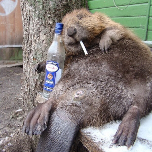 Дмитрий Шуняков