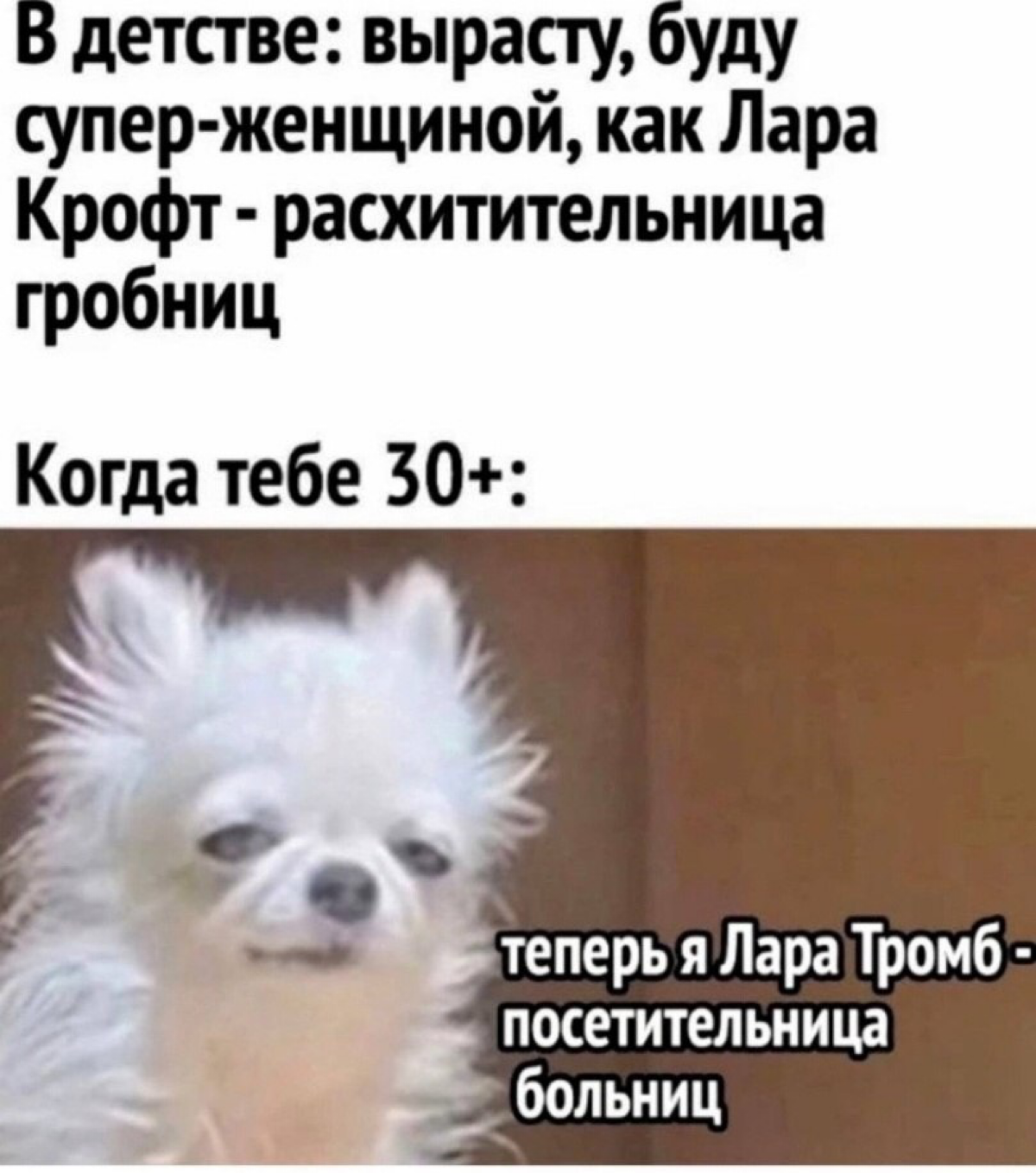 работаем исключительно при наличии ДМС | Сетка — социальная сеть от hh.ru