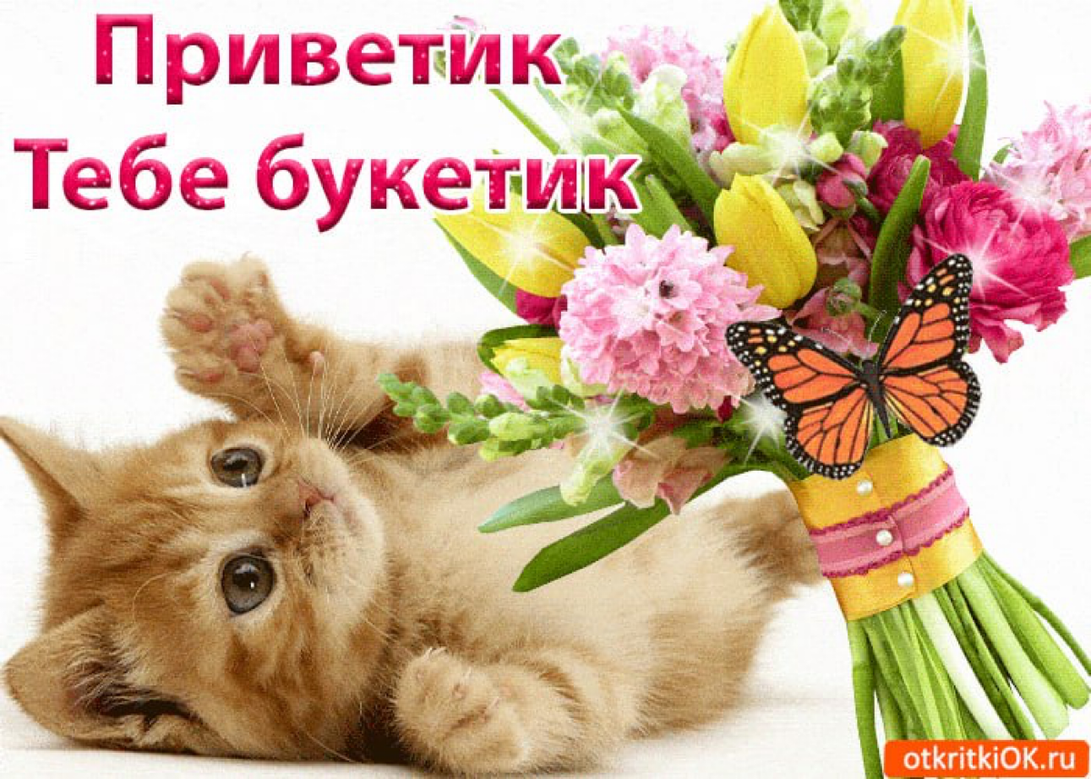 привет новые подписчики, коллеги, друзья и будущие собутыльники ☺️  
пока нас здесь мало, хочу со всеми познакомиться 😊
напиши в комментах кто ты, откуда ты, где работаешь или ищешь работу, всё что ду... | Сетка — социальная сеть от hh.ru