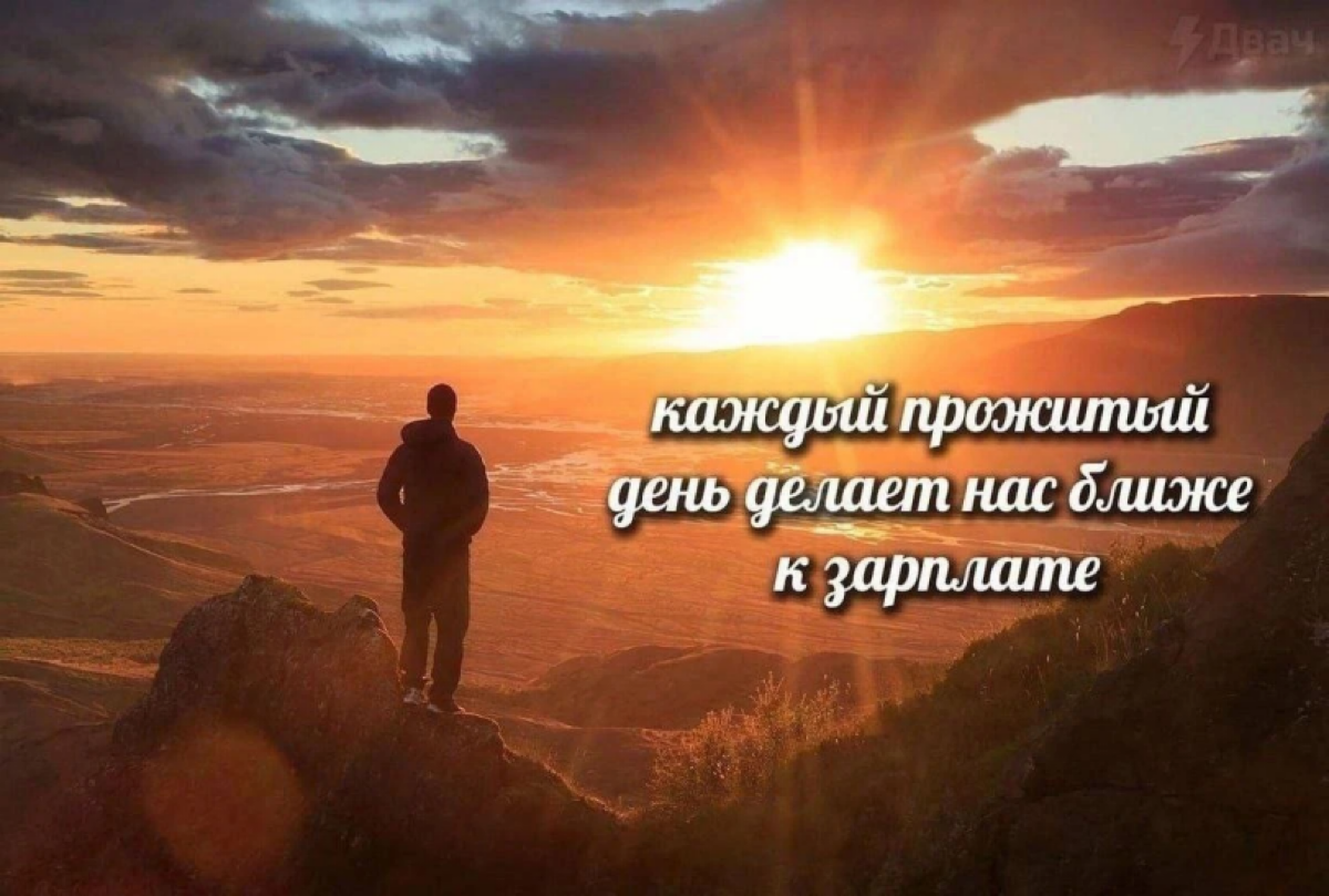 Мем 22 | Сетка — социальная сеть от hh.ru