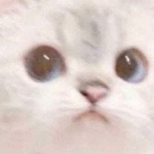 Анна Роева | Сетка — социальная сеть от hh.ru