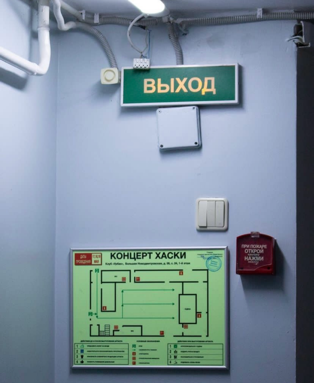 Давайте поговорим о том, что аккаунт Хаски это какой-то супер фэшн, арт, художество и эстетика🤌🏻👻 | Сетка — социальная сеть от hh.ru