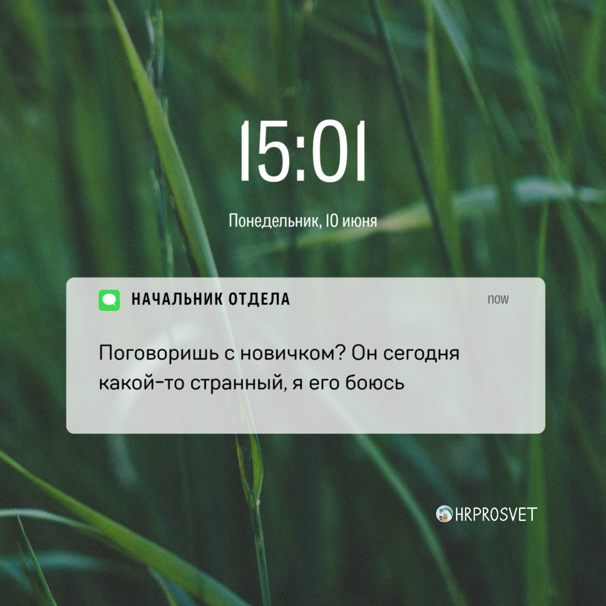 Как сказать, что ты эйчар, не говоря, что ты эйчар? Просто показать уведомления на телефоне😅 
Видео с этими уведомлениями ищите в нашем телеграме https://t.me/hrprosvet | Сетка — социальная сеть от hh.ru