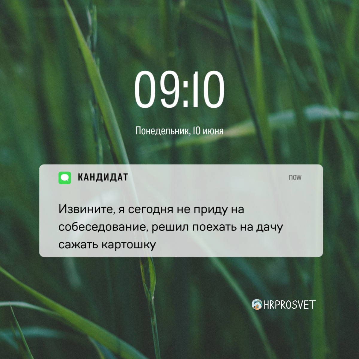 Как сказать, что ты эйчар, не говоря, что ты эйчар? Просто показать уведомления на телефоне😅 
Видео с этими уведомлениями ищите в нашем телеграме https://t.me/hrprosvet | Сетка — социальная сеть от hh.ru