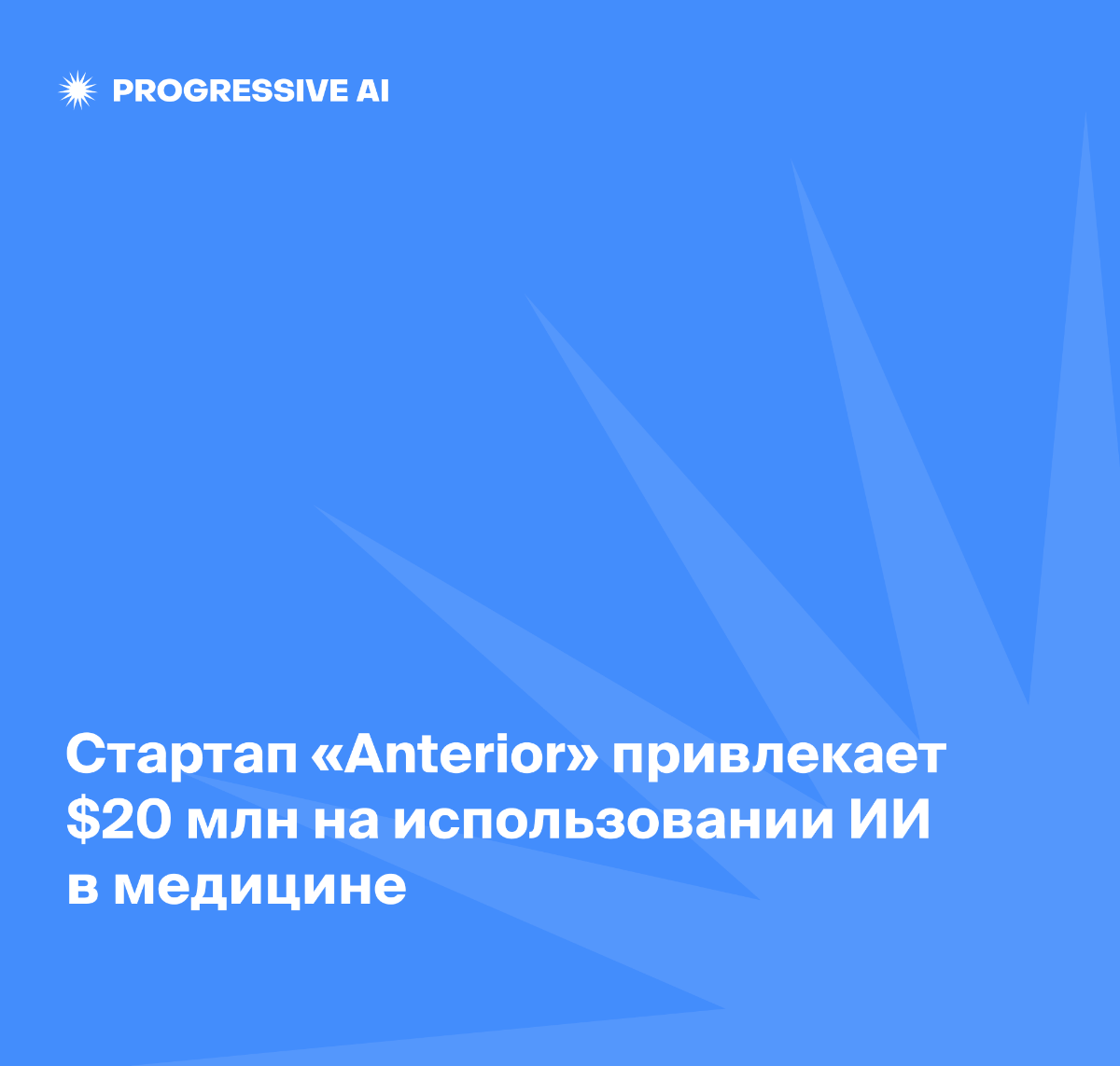 $20 млн инвестиций в медицинский ИИ-Стартап | Сетка — социальная сеть от hh.ru