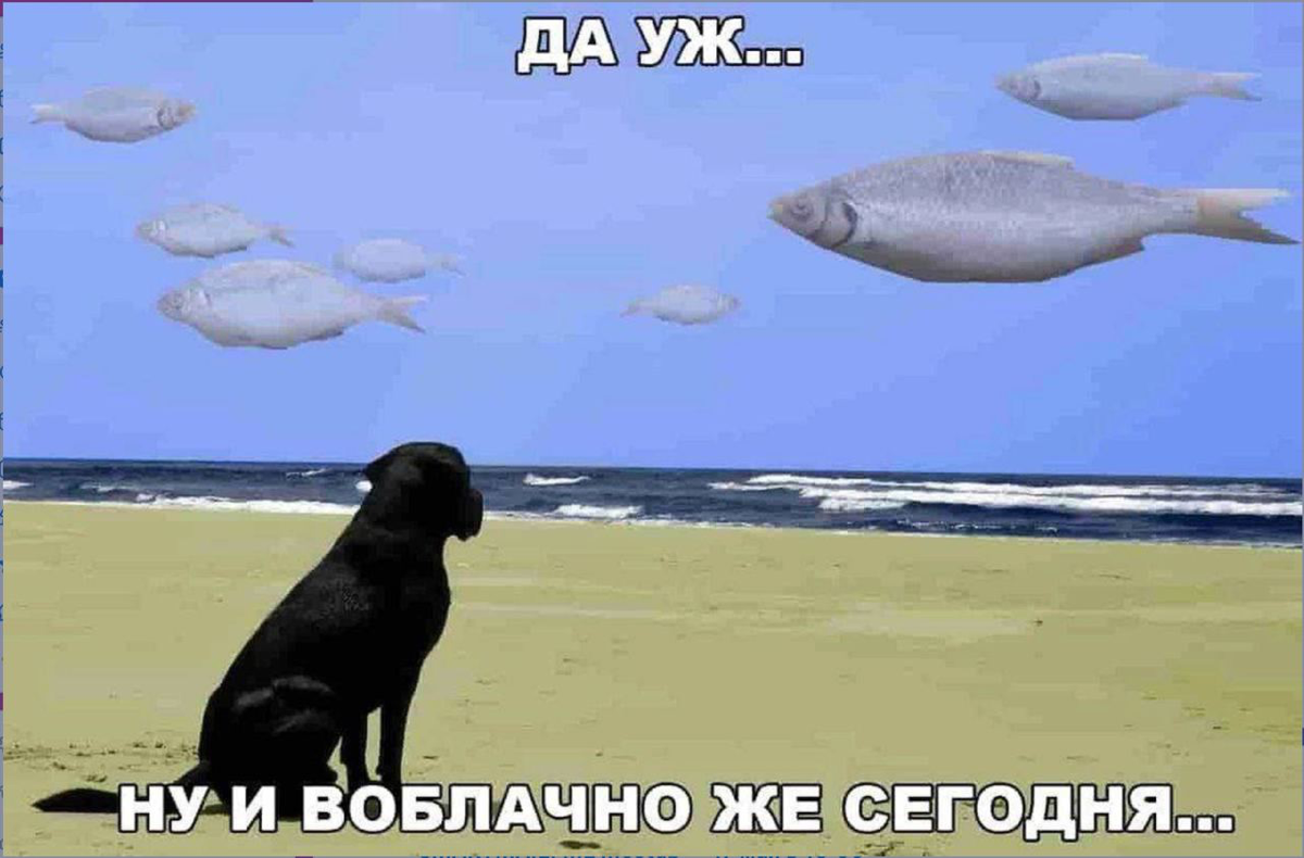 Сетка — социальная сеть от hh.ru