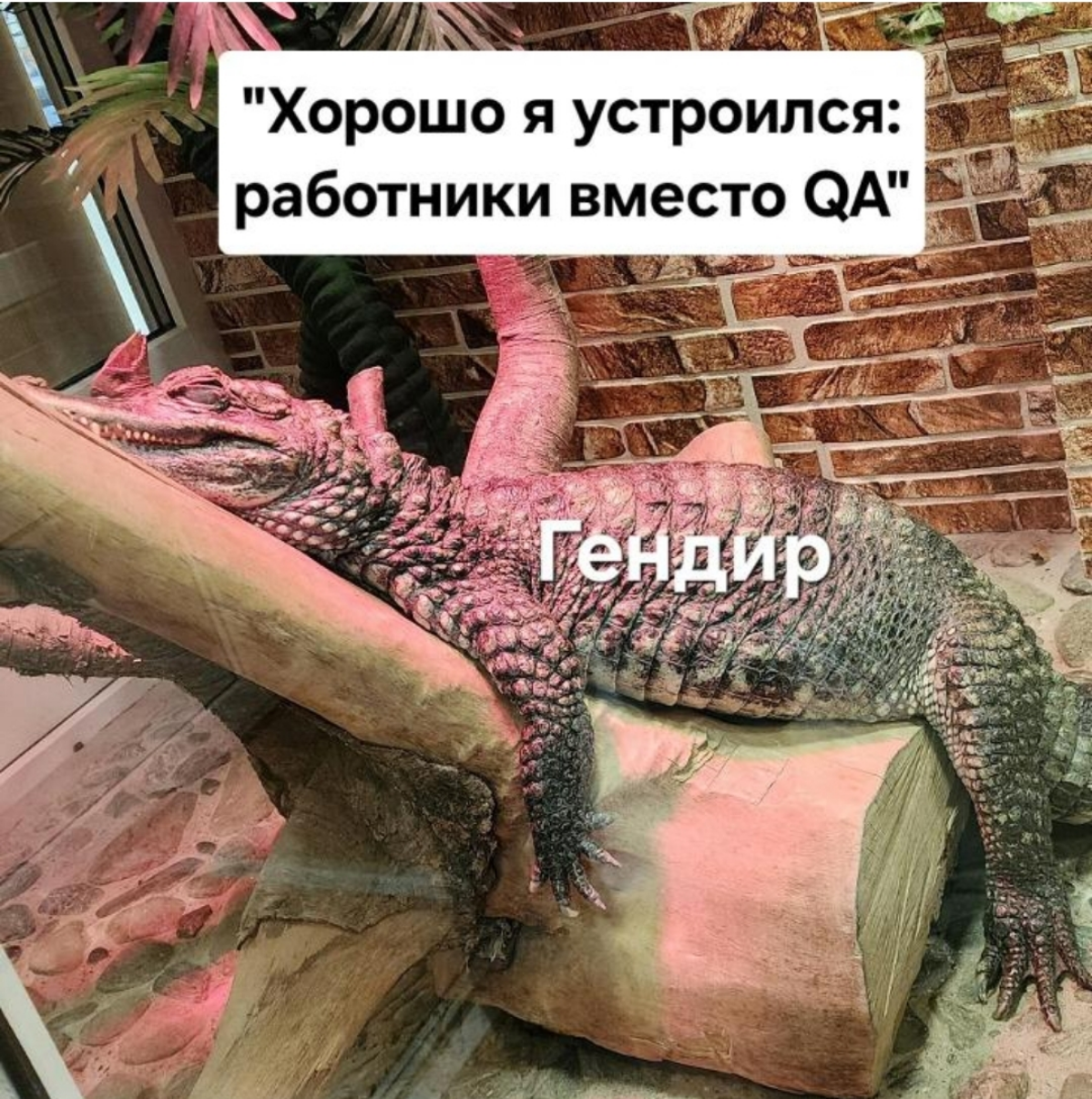Почему работник компании вместо тестировщика - это плохо | Сетка — социальная сеть от hh.ru