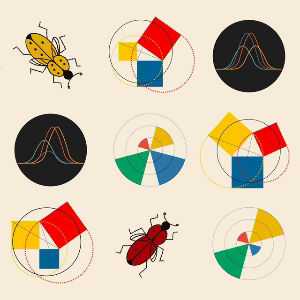 Цветы и Цифры. Дата-арт практика