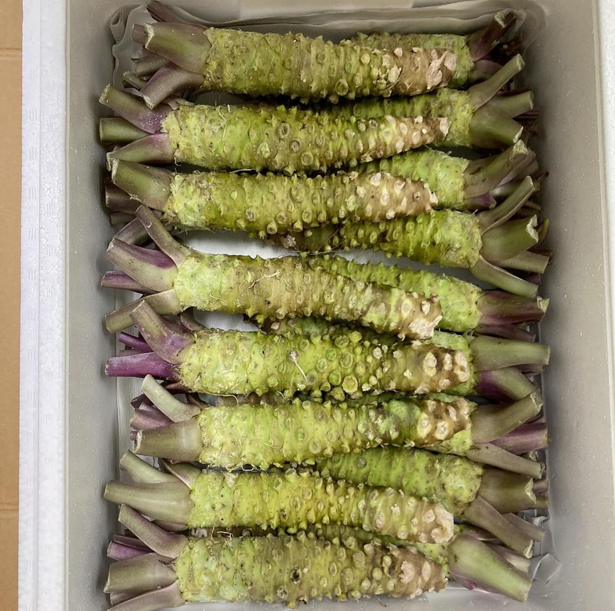 Заметка про васаби | Сетка — социальная сеть от hh.ru