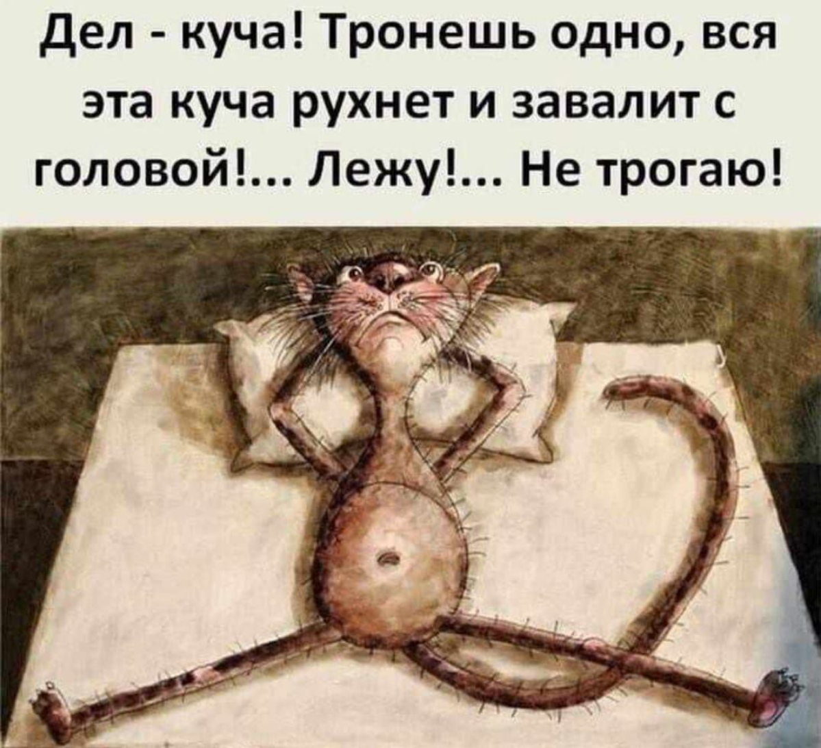 Признавайтесь, кто не работает | Сетка — социальная сеть от hh.ru