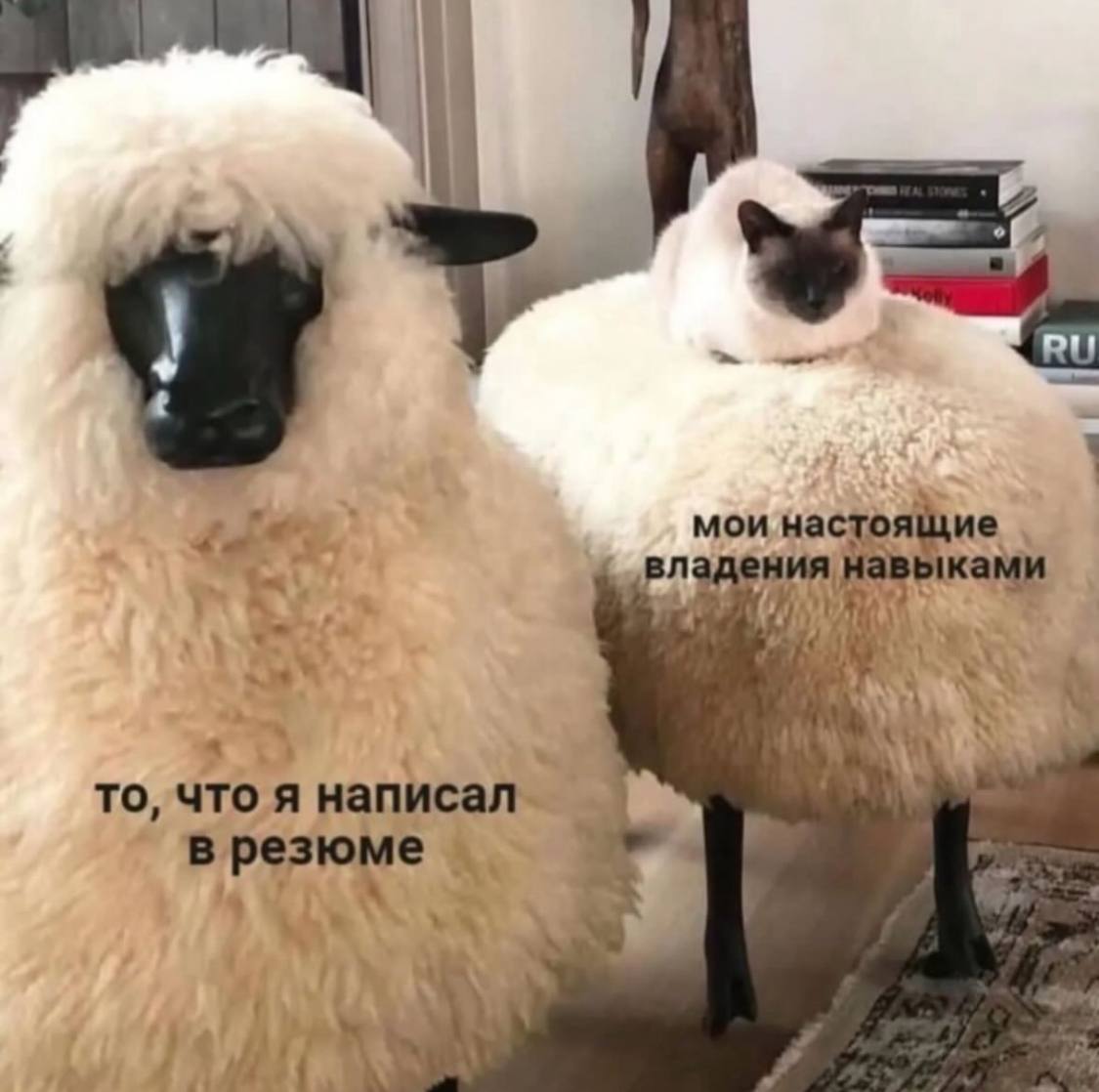 Всем прекрасного дня!
Сегодня как и обещала опубликуем вакансии интересные так что не пропустите 🔥 | Сетка — социальная сеть от hh.ru