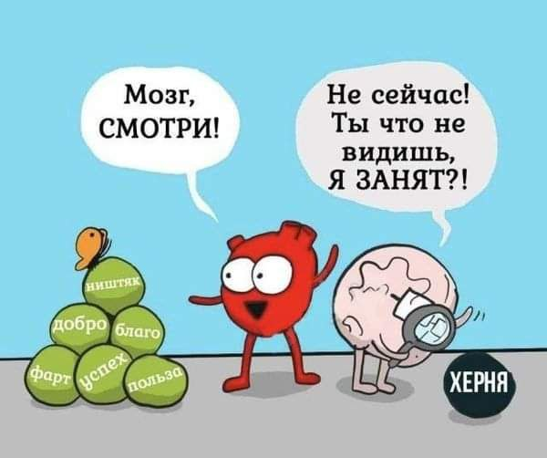 Эмоции
Мы никуда не можем деться от них, да и не нужно. 😌 Мы можем быть очень рассудительными, знать, как надо, но бывает, что эмоции превозмогают | Сетка — социальная сеть от hh.ru