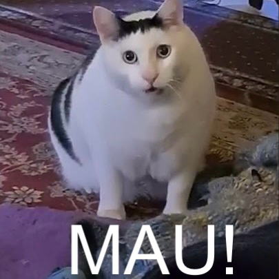 Почему я не считаю MAU и зачем его делить на QAU | Сетка — социальная сеть от hh.ru