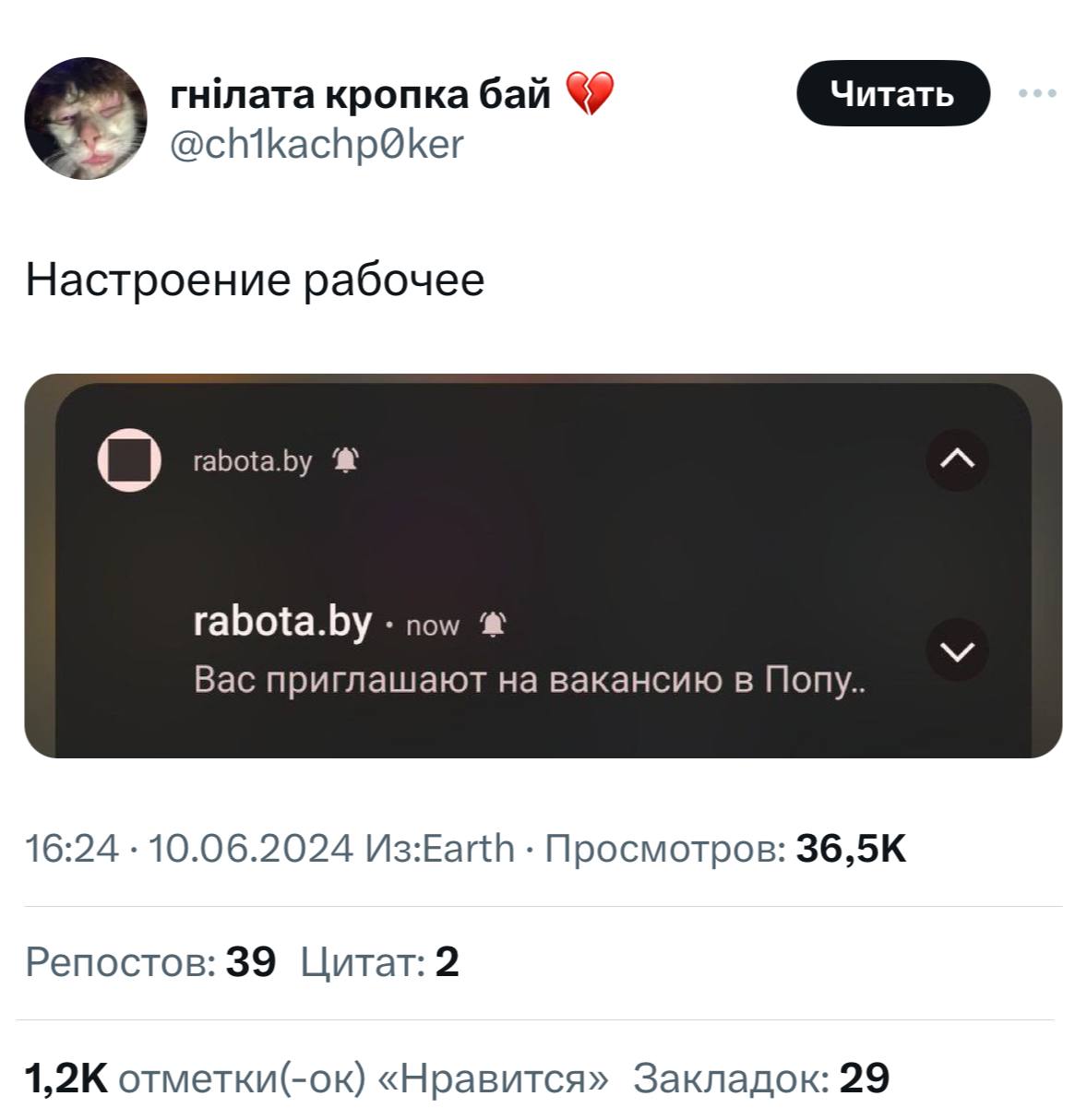Как выглядит первый оффер в айти.
@kusok\digital | Сетка — социальная сеть от hh.ru