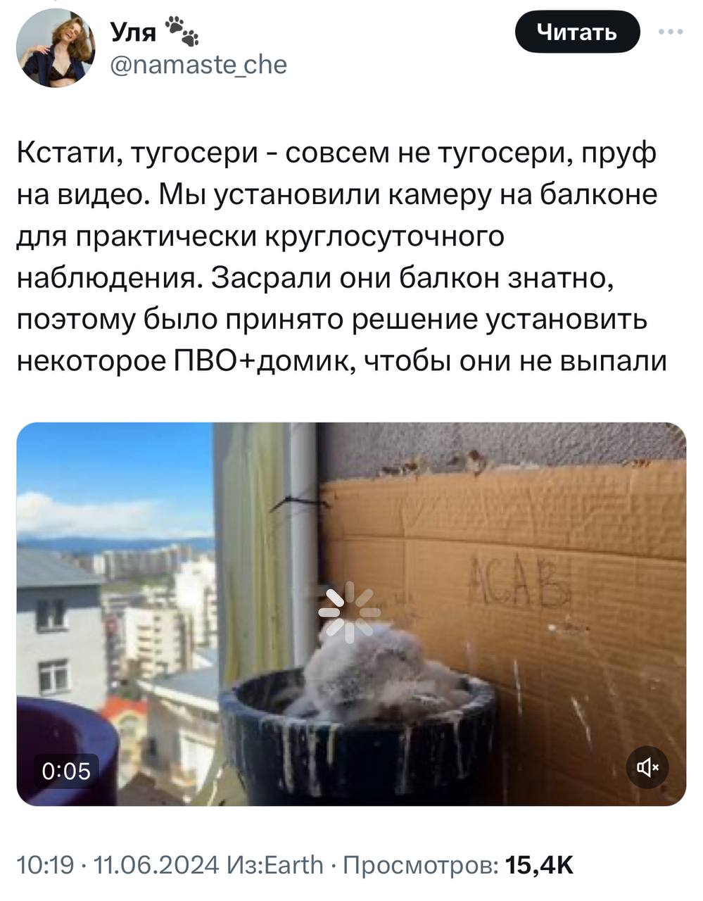 У девушки на балконе выросли соколята. Она написала тред о том, с чего это все начиналось и чем закончилось.
Молодая пара 1.5 месяца отслеживала, как развиваются птенцы | Сетка — социальная сеть от hh.ru