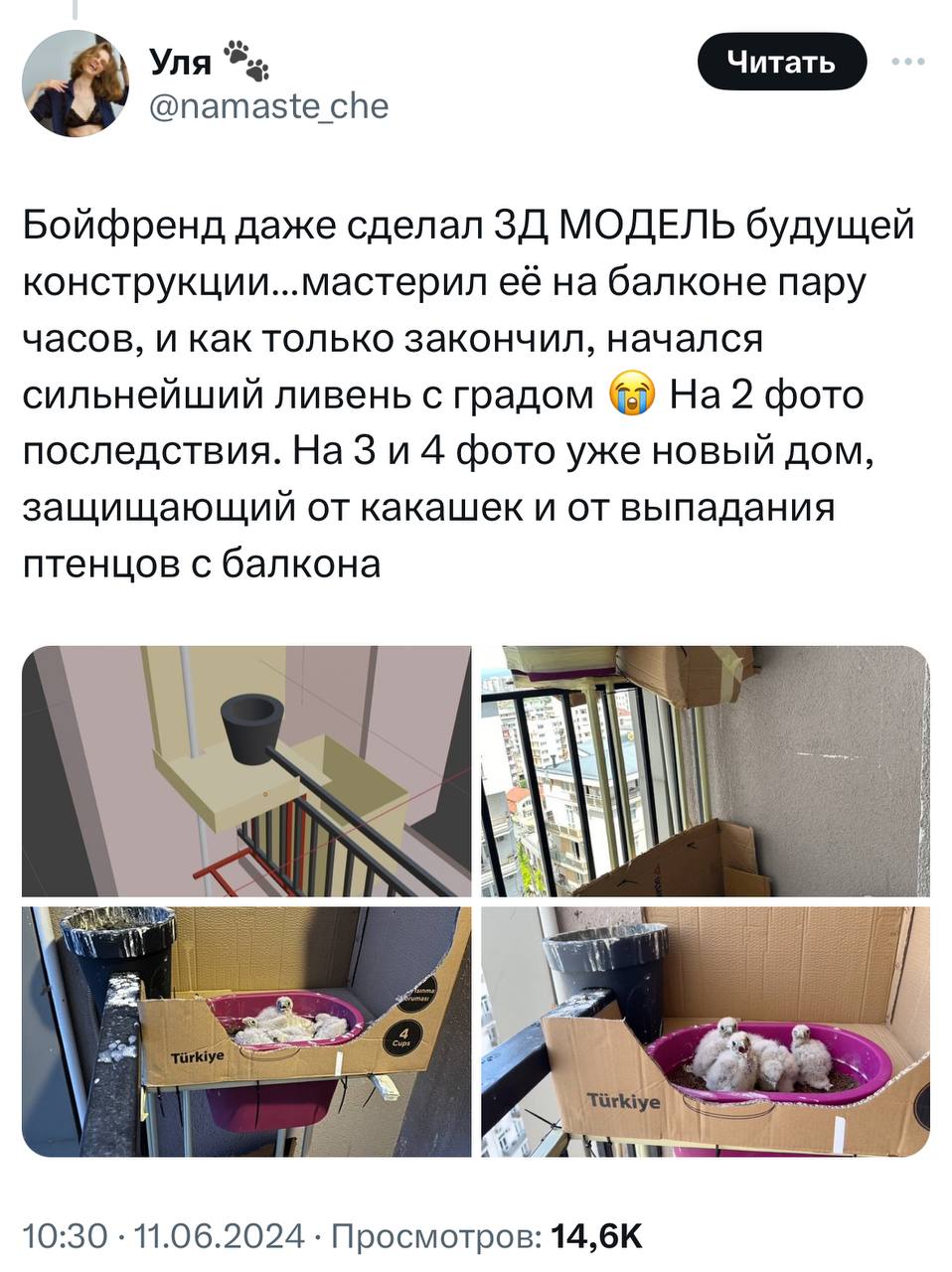 У девушки на балконе выросли соколята. Она написала тред о том, с чего это все начиналось и чем закончилось.
Молодая пара 1.5 месяца отслеживала, как развиваются птенцы | Сетка — социальная сеть от hh.ru