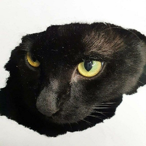 Толстый менеджер