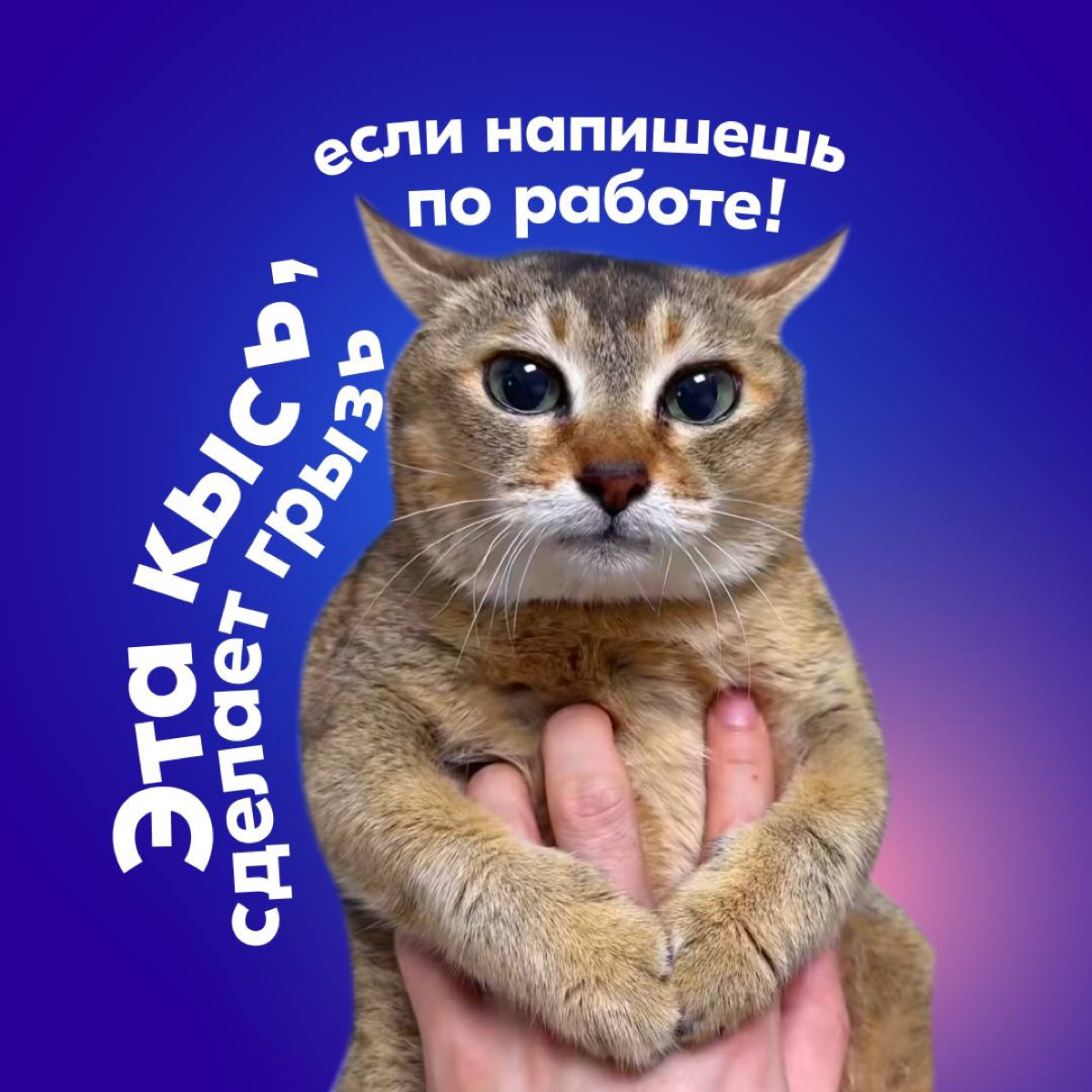 Наступила пора отпусков и если вы искали симпатичные аватарки для мессенджеров, которые расскажут всем, что вы в отпуске — такие для вас подготовила команда Ozon | Сетка — социальная сеть от hh.ru