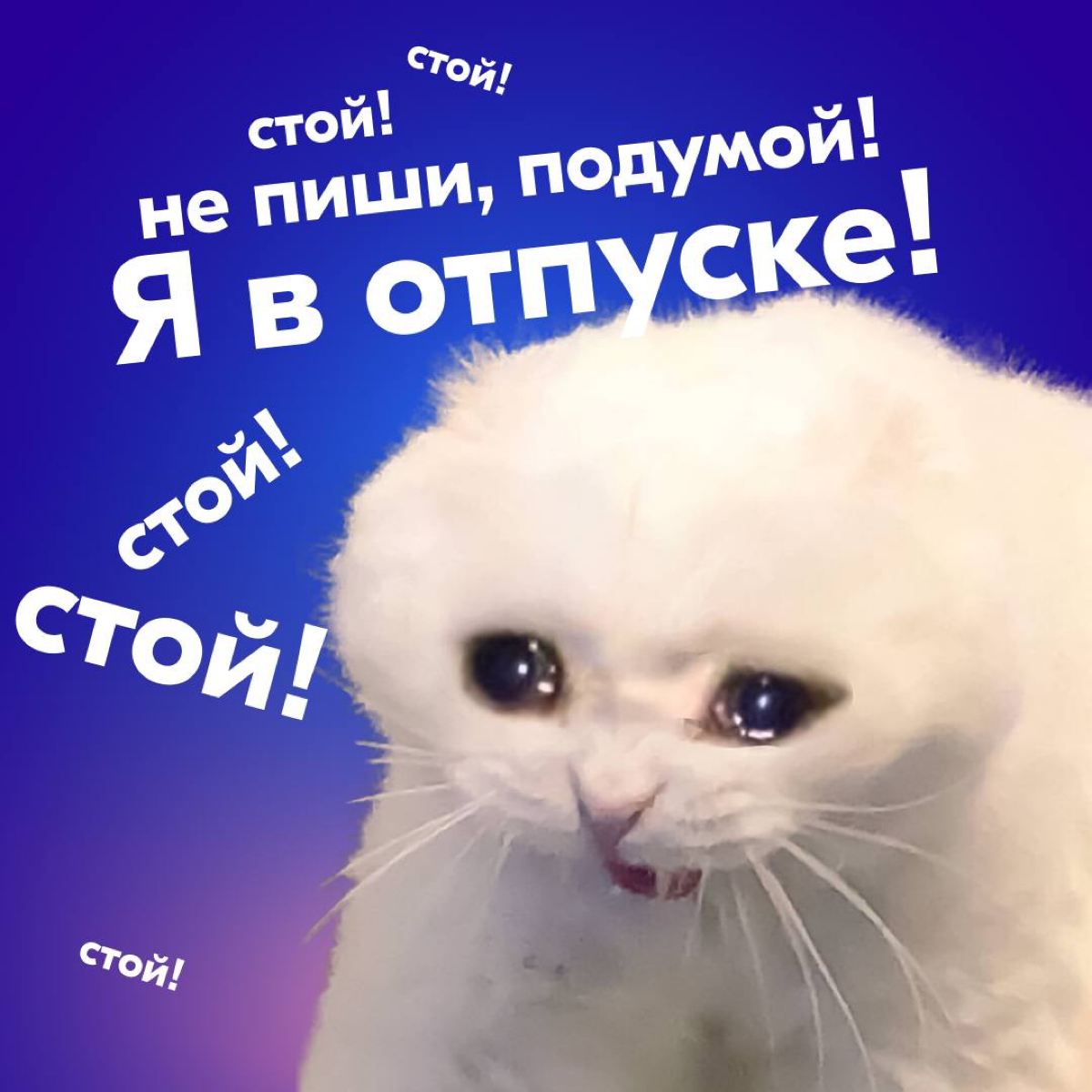 Наступила пора отпусков и если вы искали симпатичные аватарки для мессенджеров, которые расскажут всем, что вы в отпуске — такие для вас подготовила команда Ozon | Сетка — социальная сеть от hh.ru