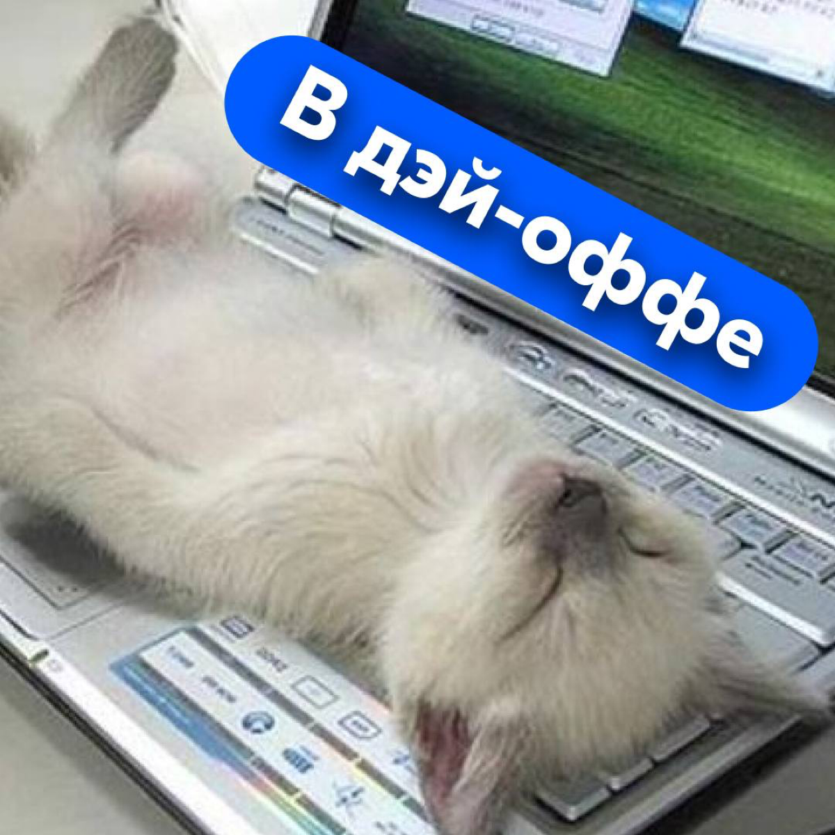 Наступила пора отпусков и если вы искали симпатичные аватарки для мессенджеров, которые расскажут всем, что вы в отпуске — такие для вас подготовила команда Ozon | Сетка — социальная сеть от hh.ru