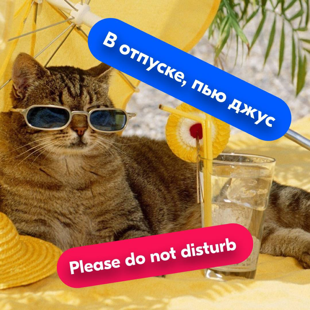 Наступила пора отпусков и если вы искали симпатичные аватарки для мессенджеров, которые расскажут всем, что вы в отпуске — такие для вас подготовила команда Ozon | Сетка — социальная сеть от hh.ru