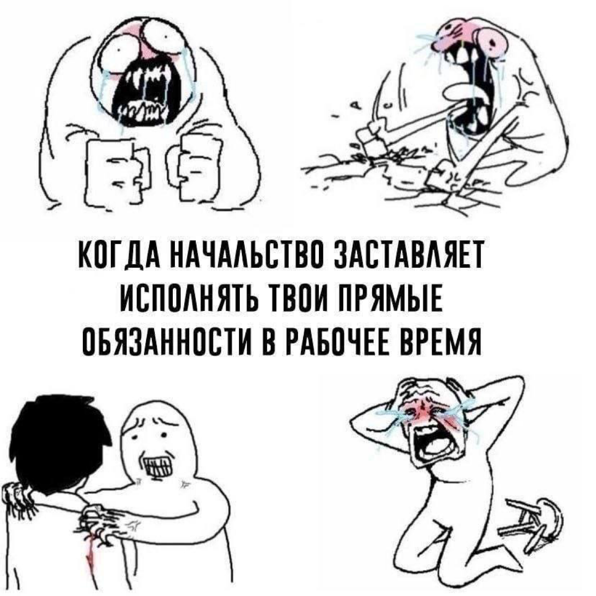 Совсем крейзи что ли? | Сетка — социальная сеть от hh.ru