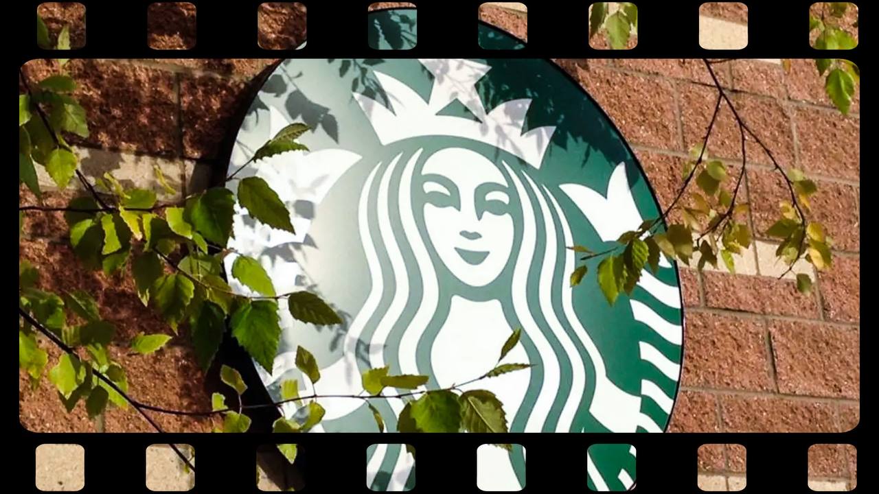 Внезапно, но Starbucks решили создать свою киностудию Starbucks Studios | Сетка — социальная сеть от hh.ru