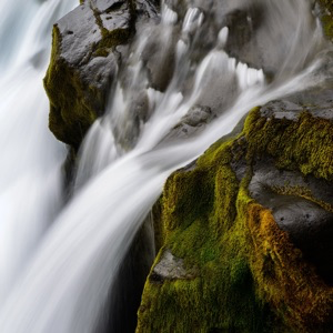 Ольга Пустобаева | Сетка — социальная сеть от hh.ru