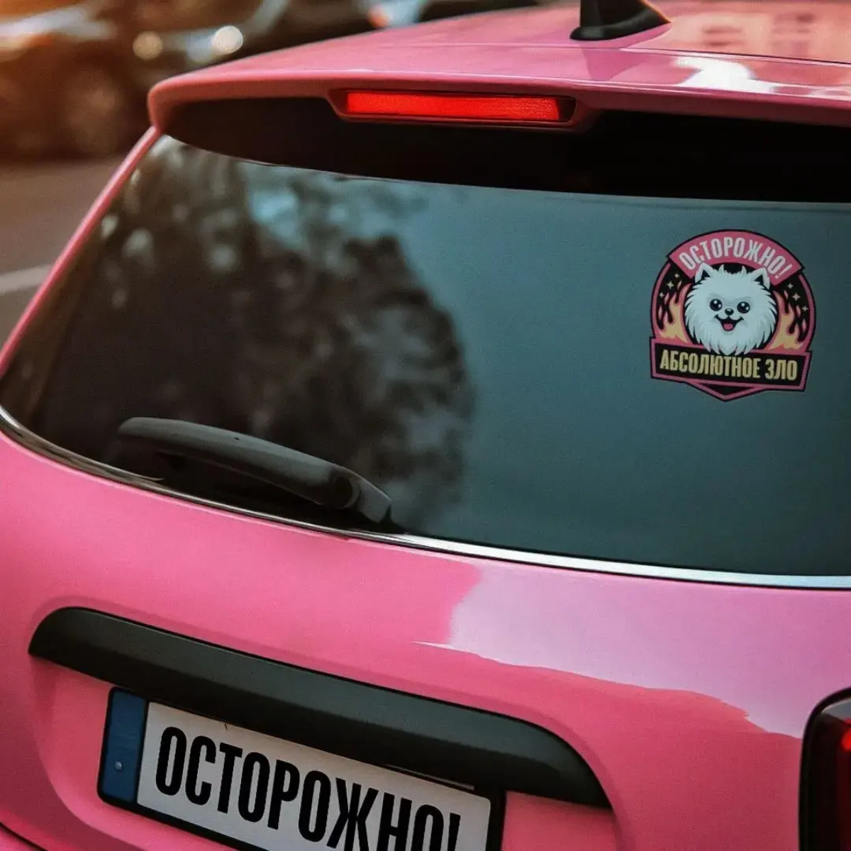 Взгляните на эту милую пушистую мордочку, на эти глазки-бусинки.
Неужели в этом создании может таиться зло? Не верь глазам своим | Сетка — социальная сеть от hh.ru