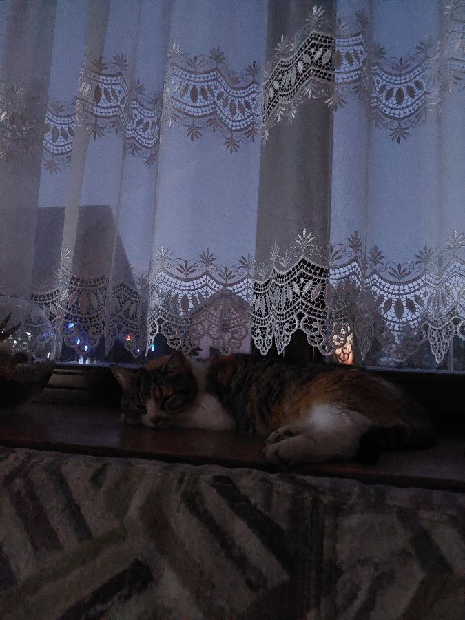 Чтобы хорошо поработать в будни, нужно хорошо отдохнуть в выходные | Сетка — социальная сеть от hh.ru